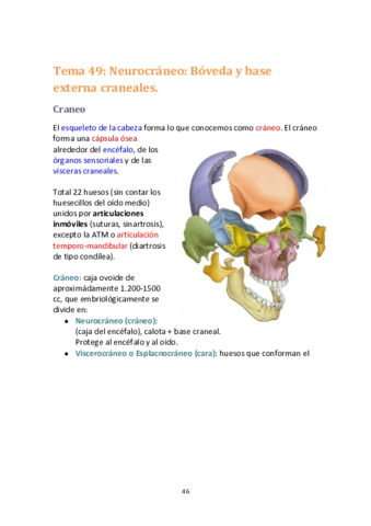 Miniatura del documento tema 49 a 56.pdf