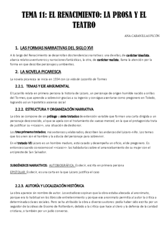 TEMA-11-LIT.pdf