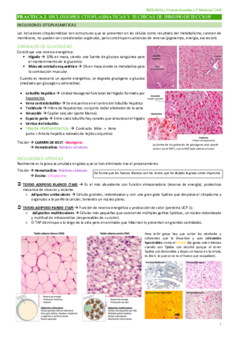 PRACTICA-2.pdf