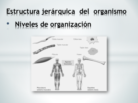 RC-UD01-LA-CELULA-I.pdf