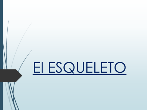 RC-UD03-EL-ESQUELETO.pdf
