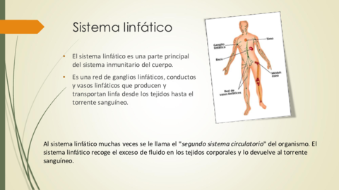 RC-UD04-EL-SISTEMA-LINFATICO.pdf