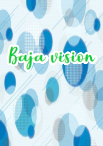 baja-vision.pdf