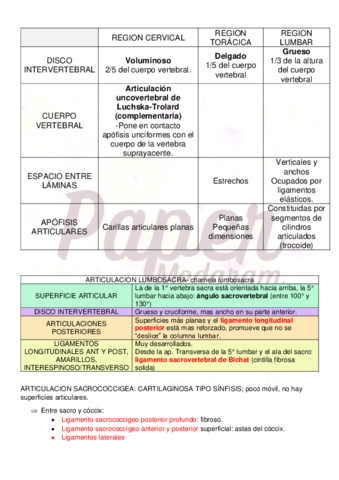 ARTICULACION-DE-LA-COLUMNAPAPER.pdf