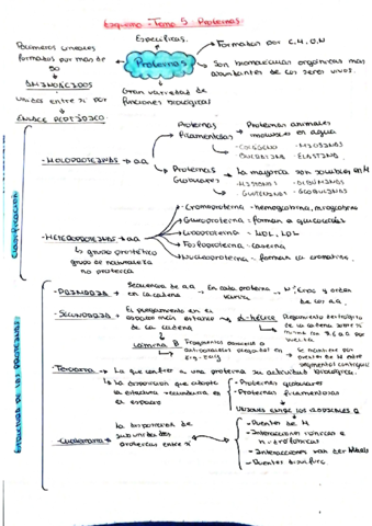 BIO-T5.pdf
