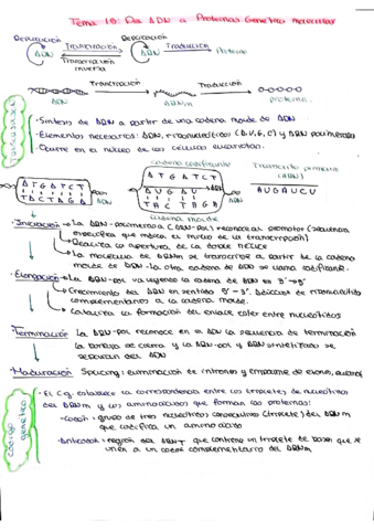 BIO-T15.pdf