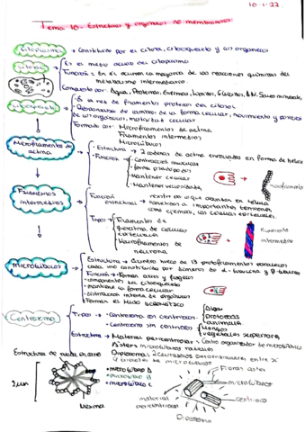 BIO-T10.pdf