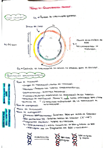 BIO-T11.pdf