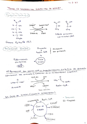 BIO-T12.pdf