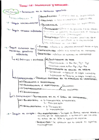 BIO-T16.pdf
