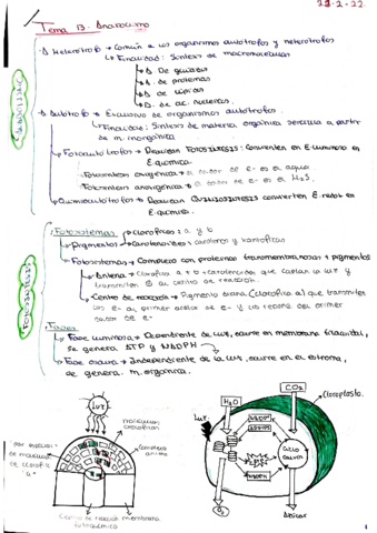 BIO-TEMA-13.pdf