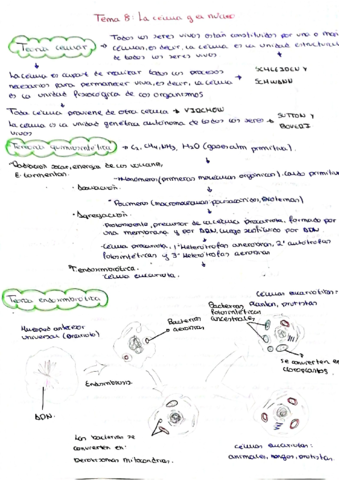 BIO-T8.pdf