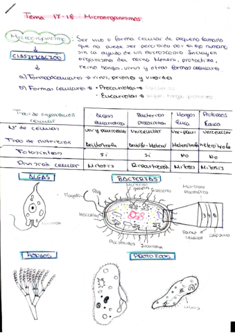 BIO-T17-18.pdf