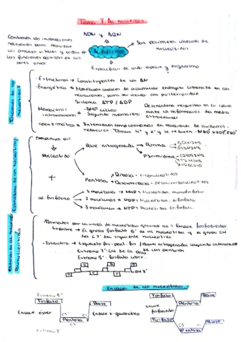 BIO-TEMA-7.pdf