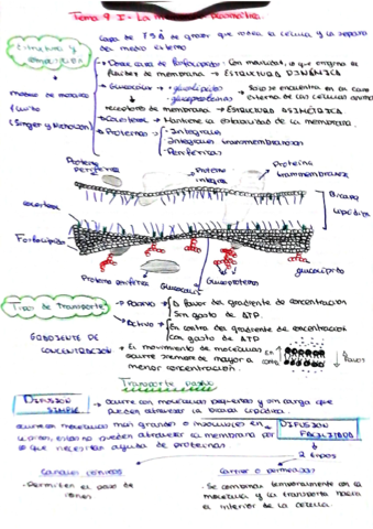 BIO-T9.pdf