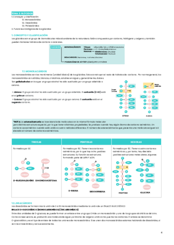 tema-2-glucidos.pdf