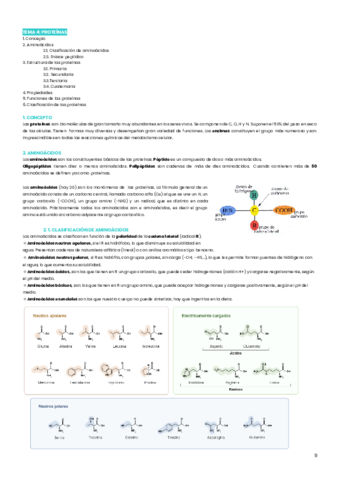 tema-4-proteinas.pdf