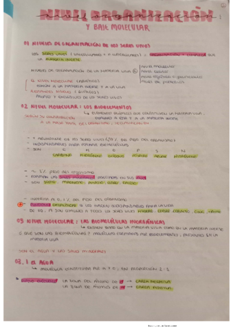 DOC-20220818-WA0090.pdf