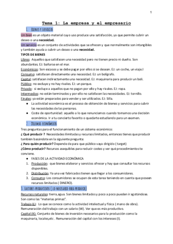 Tema-1-Economia-.pdf