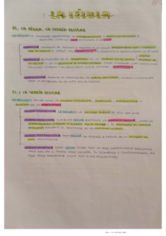 DOC-20220818-WA0092.pdf