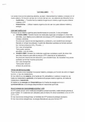 T12-CATABOLISMO.pdf