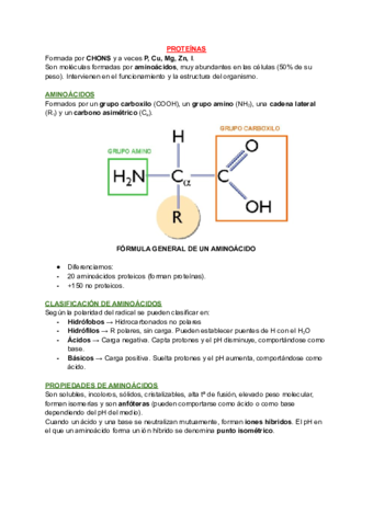 T5-y-T6-PROTEINAS-Y-ACIDOS-NUCLEICOS.pdf
