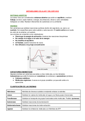 T11-METABOLISMO-CELULAR-Y-DEL-SER-VIVO.pdf