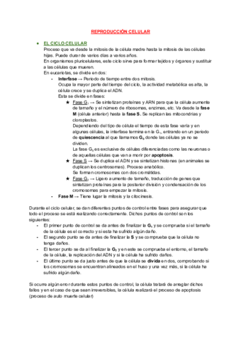 T8-REPRODUCION-CELULAR.pdf