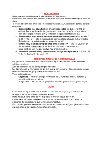 T1-y-T2-BIOELEMENTOS.pdf