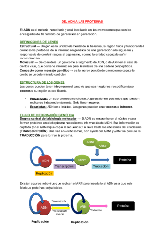 T15-DEL-ADN-A-LAS-PROTEINAS.pdf