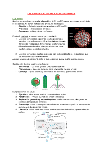 T18-y-T19-LAS-FORMAS-ACELULARES-Y-MICROORGANISMOS.pdf
