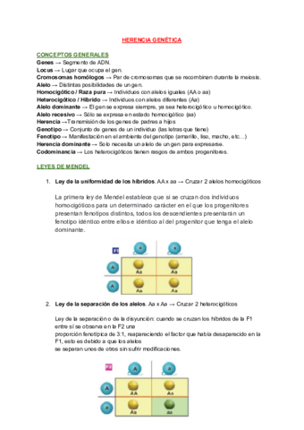 T14-HERENCIA-GENETICA.pdf