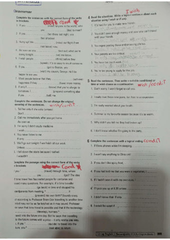 Wish-clauses-and-conditional-exercices.pdf