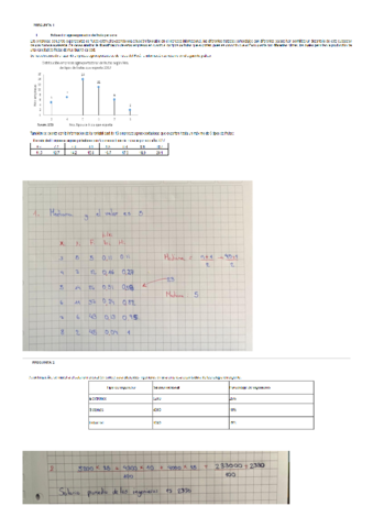 autoevaluacion-2.pdf