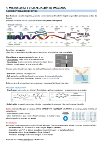 Tema-5-LABORATORIO.pdf