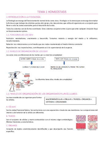 Tema-1-Homeostasis.pdf
