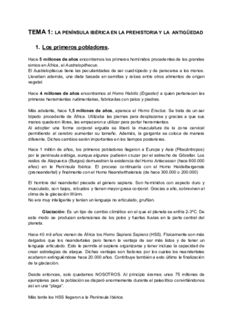 HISTORIA-DE-ESPANA-Temas-1-4.pdf