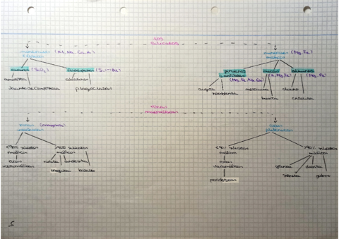Silicatos-y-rocas-magmaticas.pdf