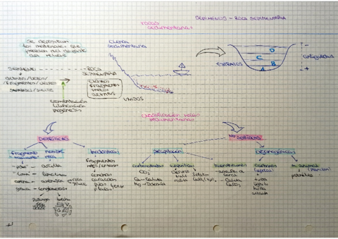 Rocas-sedimentarias.pdf