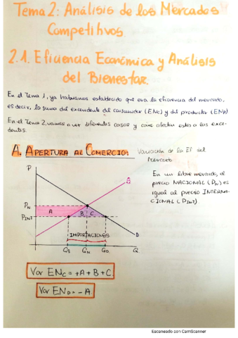 Tema-2-Micro-I.pdf