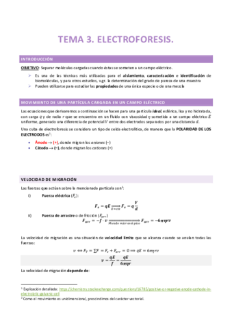 T3-Electroforesis.pdf