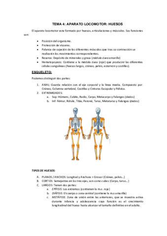 TEMA-4-anato-X.pdf