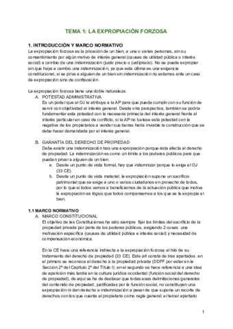 Derecho-administrativo-II.pdf