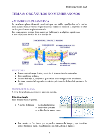 TEMA-8-ORGANULOS-NO-MEMBRANOSOS.pdf