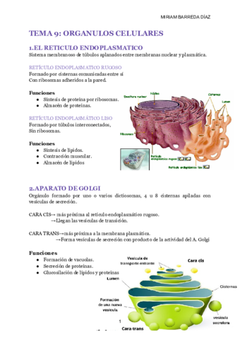TEMA-9-ORGANULOS-CELULARES.pdf