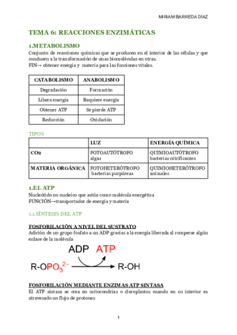 TEMA-6-REACCIONES-ENZIMATICAS-1.pdf