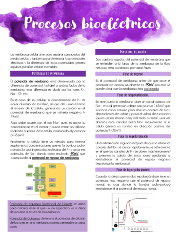 POTENCIAL-DE-MEMBRANA-Y-POTENCIAL-DE-ACCION.pdf