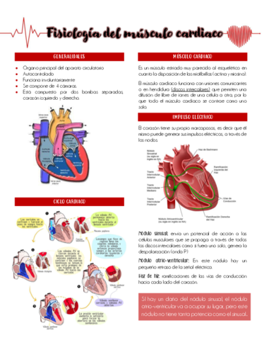 FISIOLOGIA-DEL-MUSCULO-CARDIACO.pdf