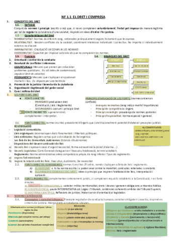 EL-DRET-I-LEMPRESA.pdf