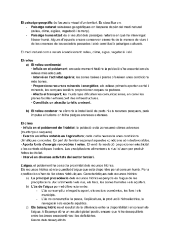 Geo-resumen-t.pdf